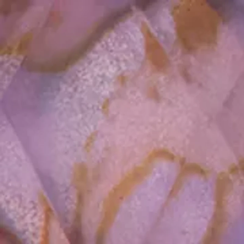 Purple Stone Double Drop Earrings