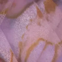 Purple Stone Double Drop Earrings