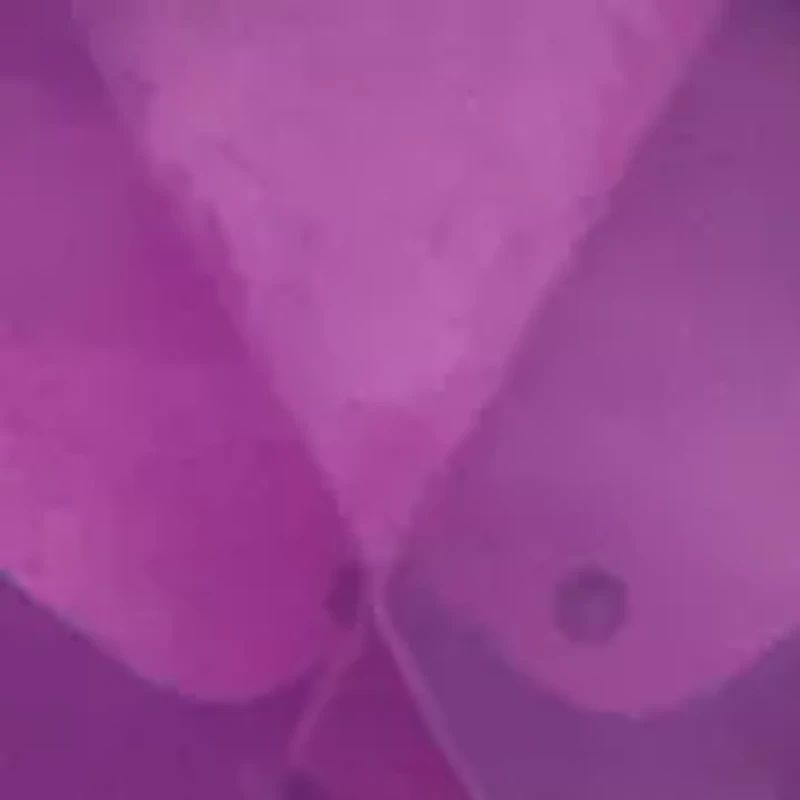 Purple Stone Drop Earrings