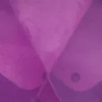 Purple Stone Drop Earrings