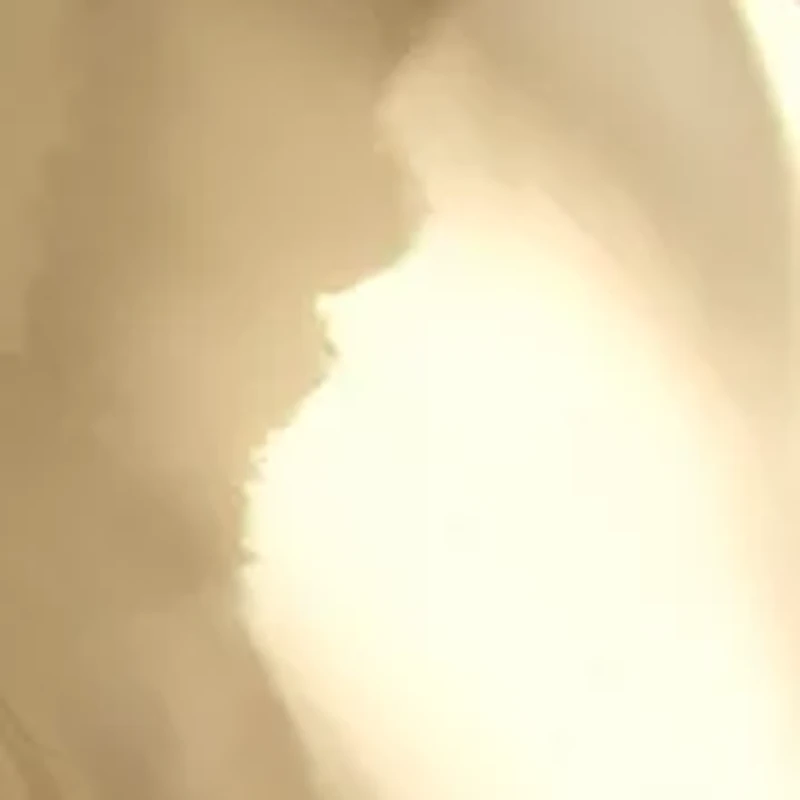 Water Wave Gold Tone Hoop Earrings