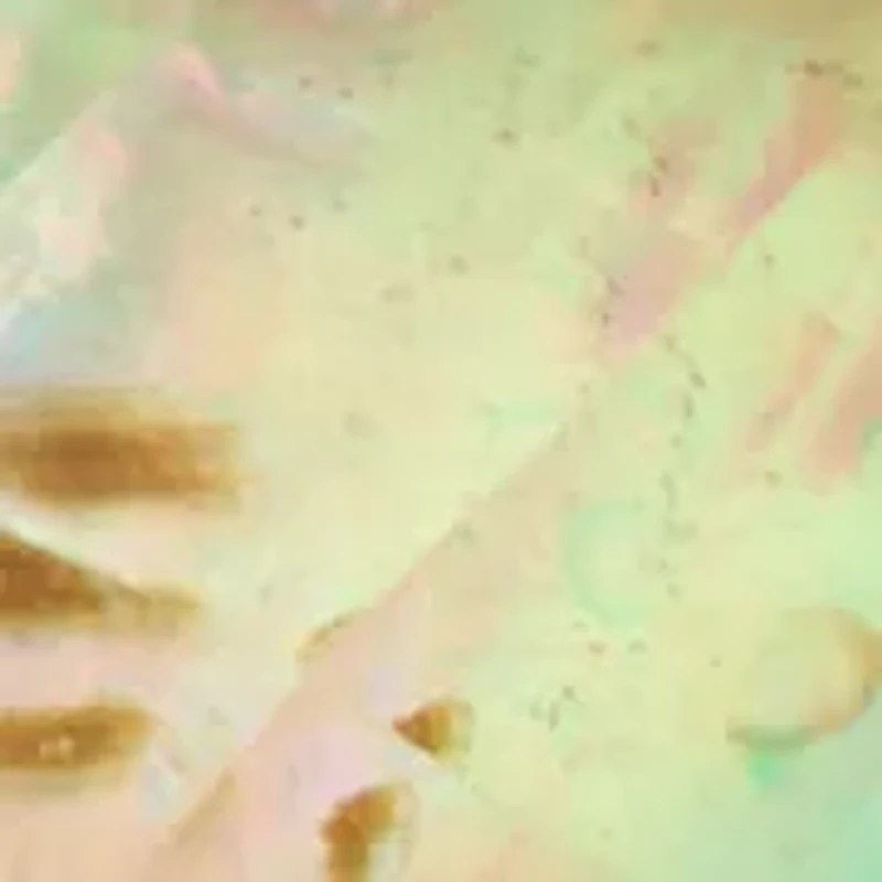 Silver Tone Ocean Abalone Single Drop Earrings