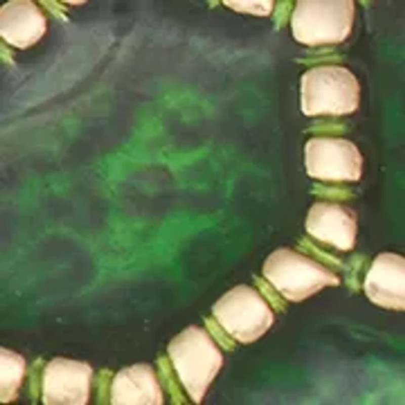  Green Turtle Double Drop Earrings