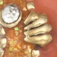  Coral Fish Double Drop Earrings