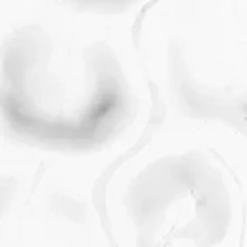 Silver Tone Coin Drop Earrings