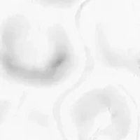 Silver Tone Coin Drop Earrings