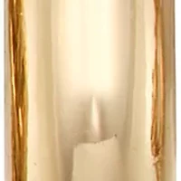 Double Hoop Gold Tone Earirngs