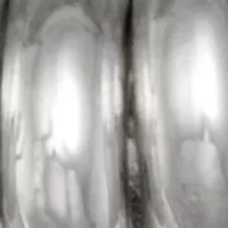 Double Oval Charm Earrings 