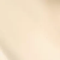  Puffy Gold Tone Hoop Earrings