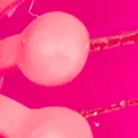  Pink Flower Drop Earrings