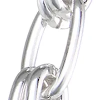 Silver Tone Chain Link Collar Necklace