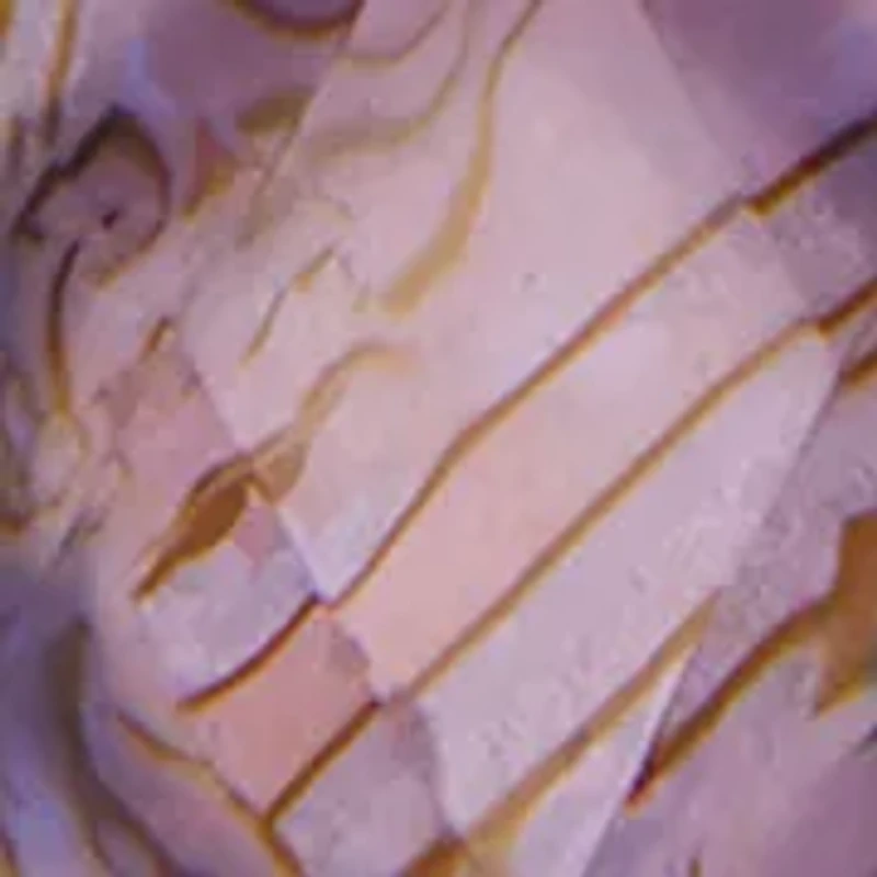 Purple Moon Pendant Necklace