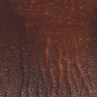 Women's Quartz Round Gold Tone Faux Leather Watch