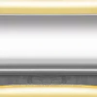 Two Tone Analog Watch