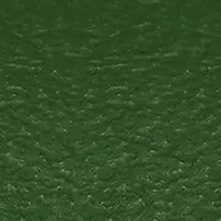 Green Rose Gold Watch