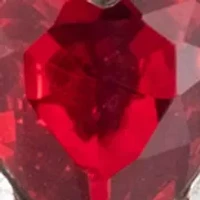 Crystal Heart Orbital Earrings