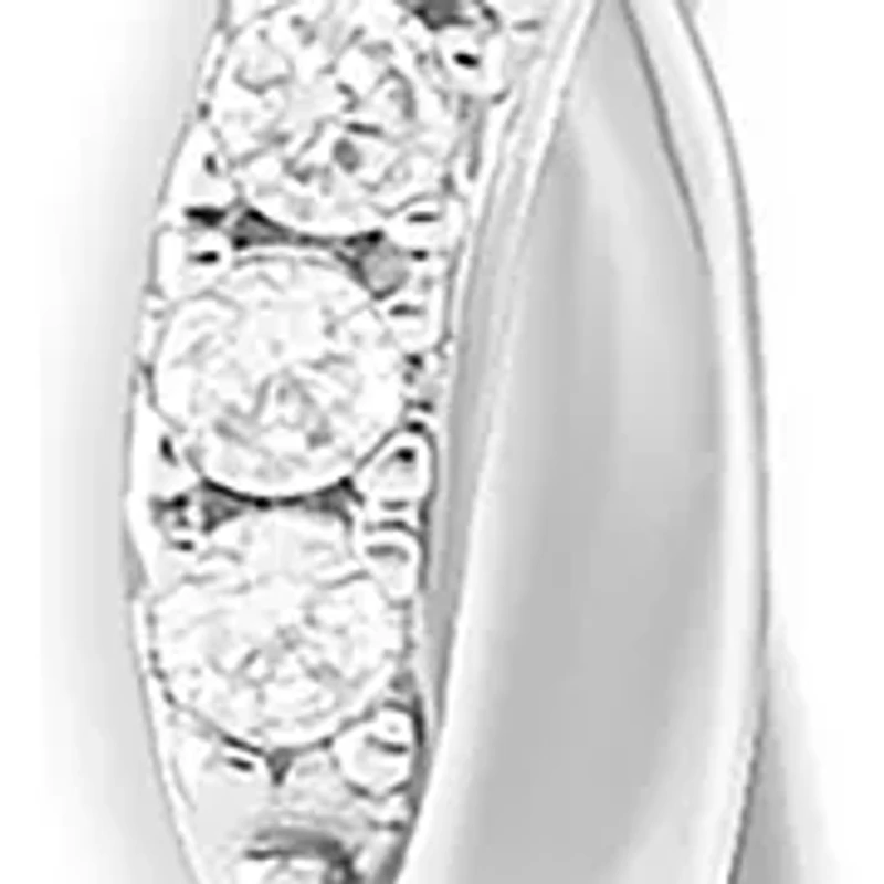 Twisted Hoop Earrings