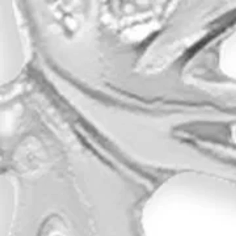 Sterling Silver Polished Butterfly Drop Earrings