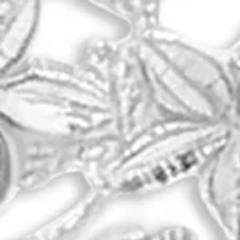 Flower Filigree Teardrop Earrings in Sterling Silver 