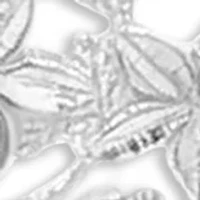 Flower Filigree Teardrop Earrings in Sterling Silver 