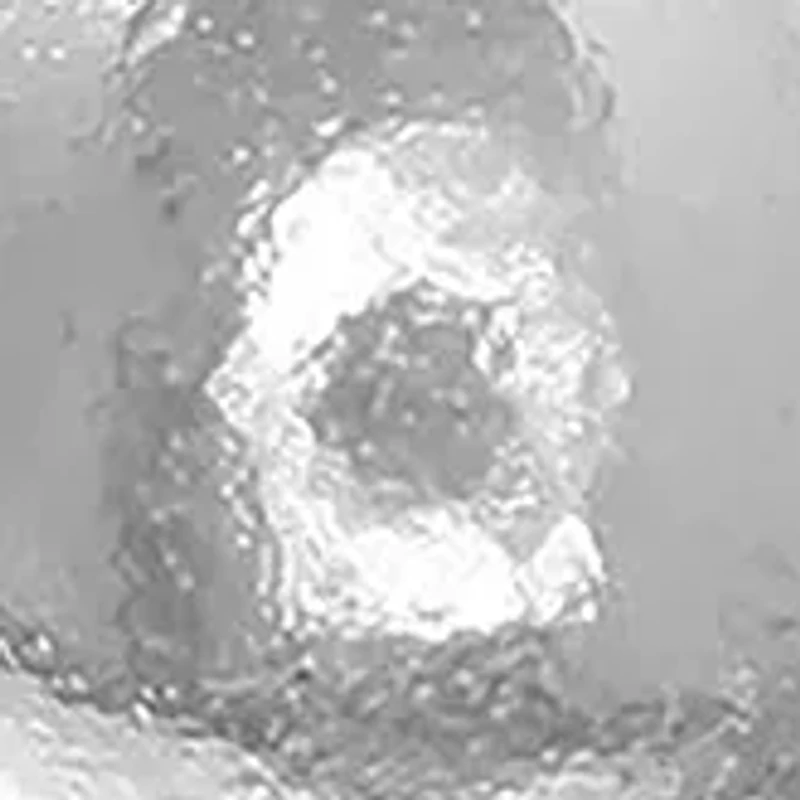 Polished Stud Ball Earrings in Sterling Silver