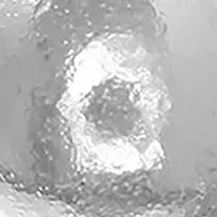 Polished Stud Ball Earrings in Sterling Silver