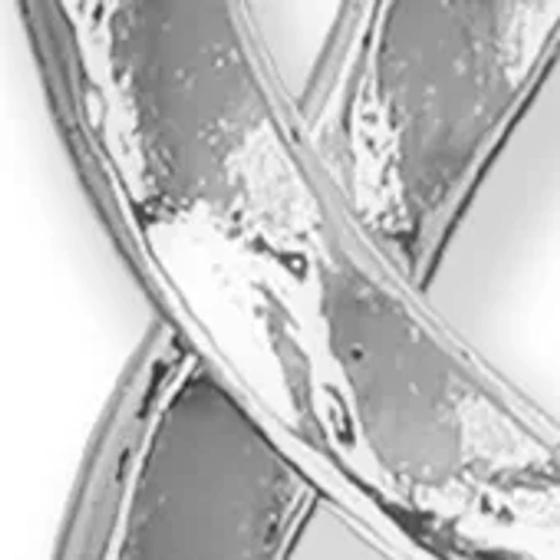Double Teardrop Earrings in Sterling Silver