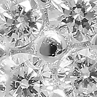 1/3 ct. t.w. Cubic Zirconia Flower Stud Earrings
