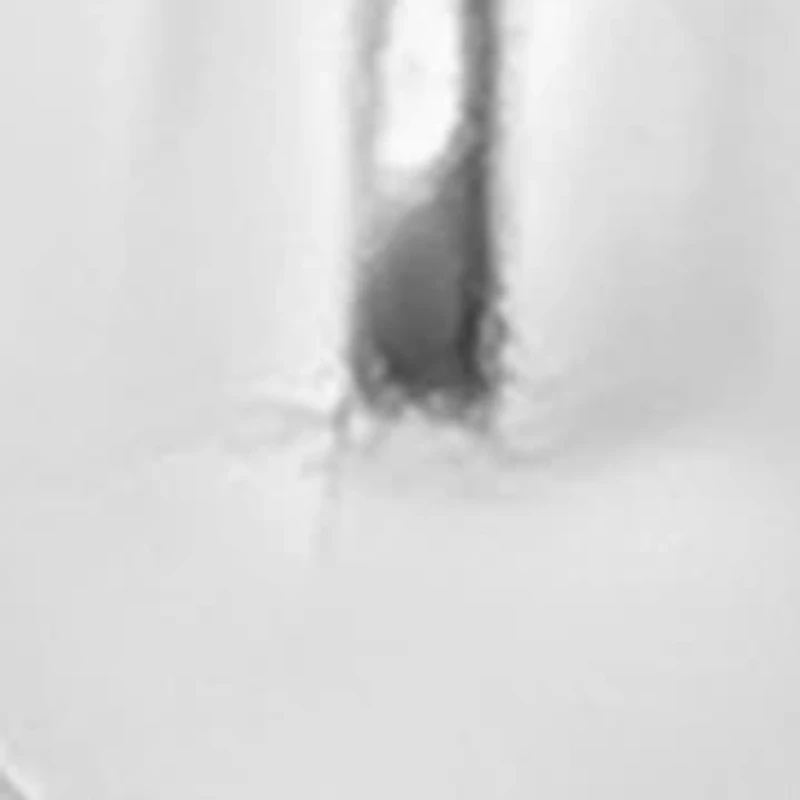 Polished Teardrop Earrings in Sterling Silver