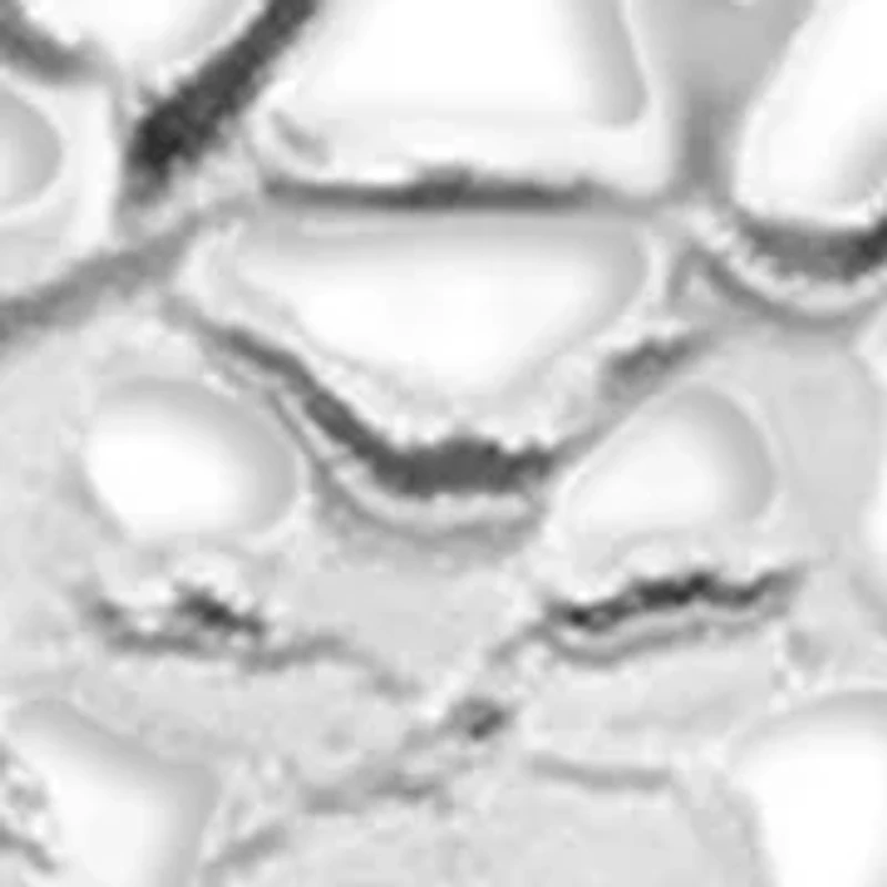 Polished Heart Drop Earrings in Sterling Silver 