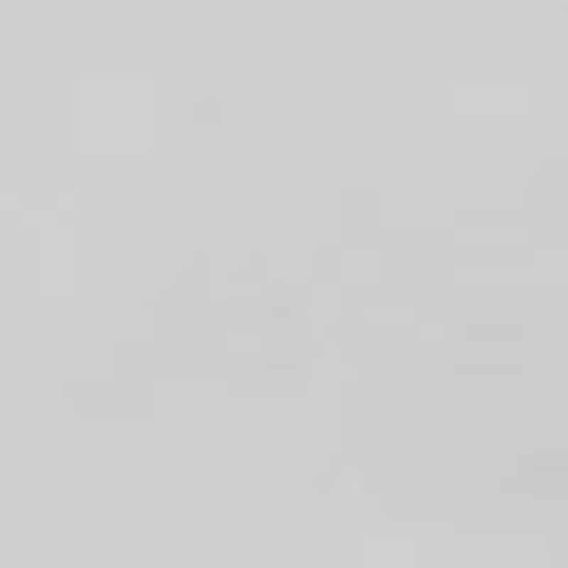 Fine Silver Plated Hoop Earrings