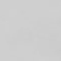 Fine Silver Plated Hoop Earrings