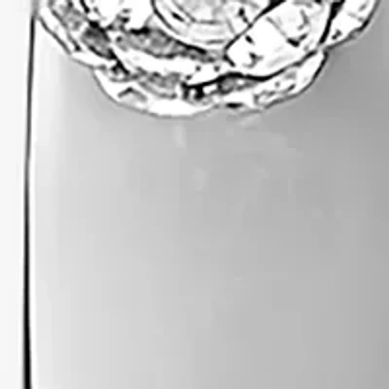 Silver Plated Crystal Hoop Earrings