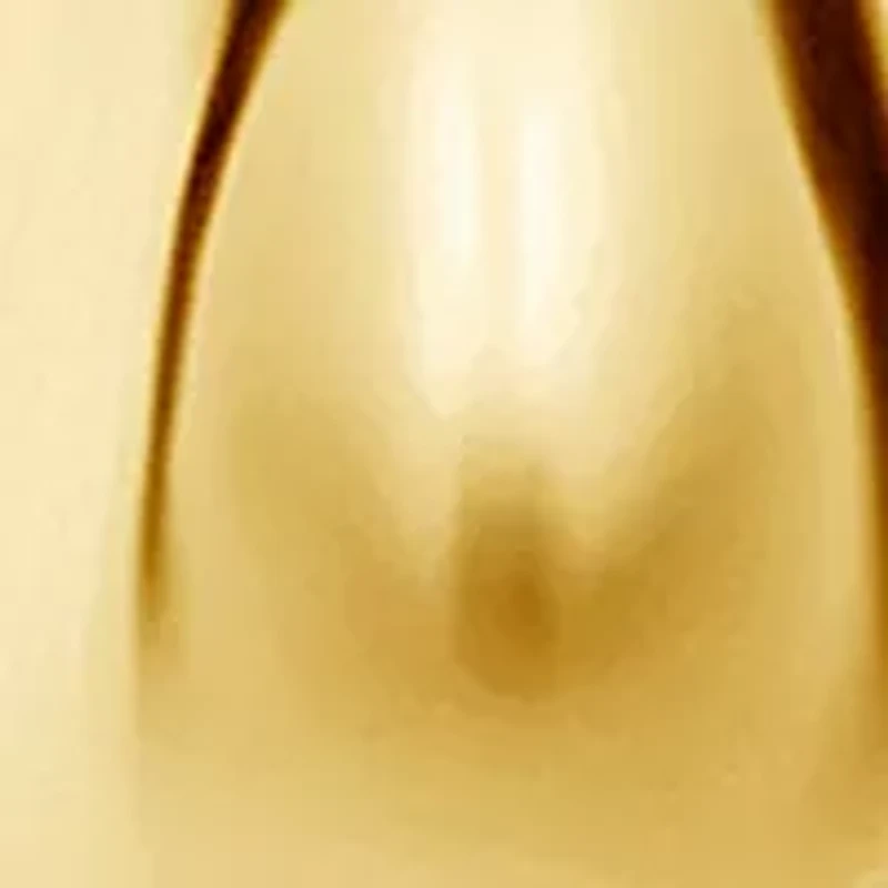 Plated Polished Hoop with Teardrop Earrings