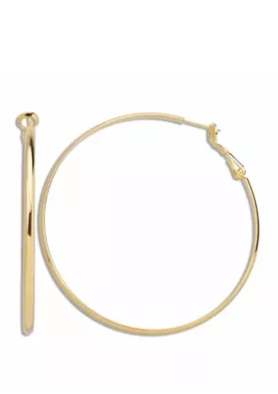 Polished Hoop Paddle Back Earrings 