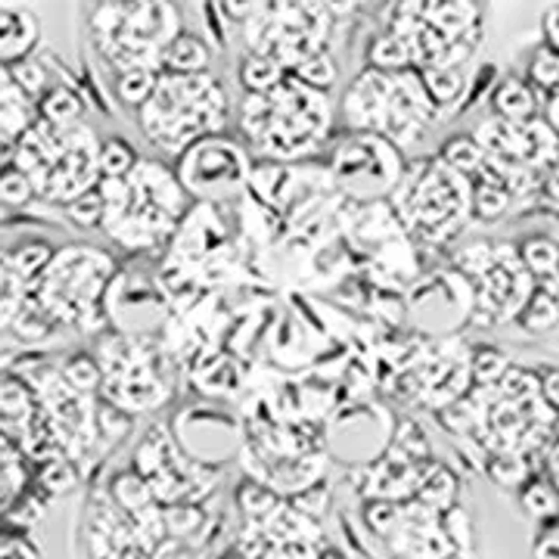 Sterling Silver CZ Snowflake Pendant Necklace with 5mm Round CZ Studs Set