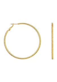 Gold Plated Hoop Earrings