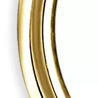 Plated Polished Hoop Earring Duo Set