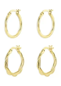 Plated Polished Hoop Earring Duo Set