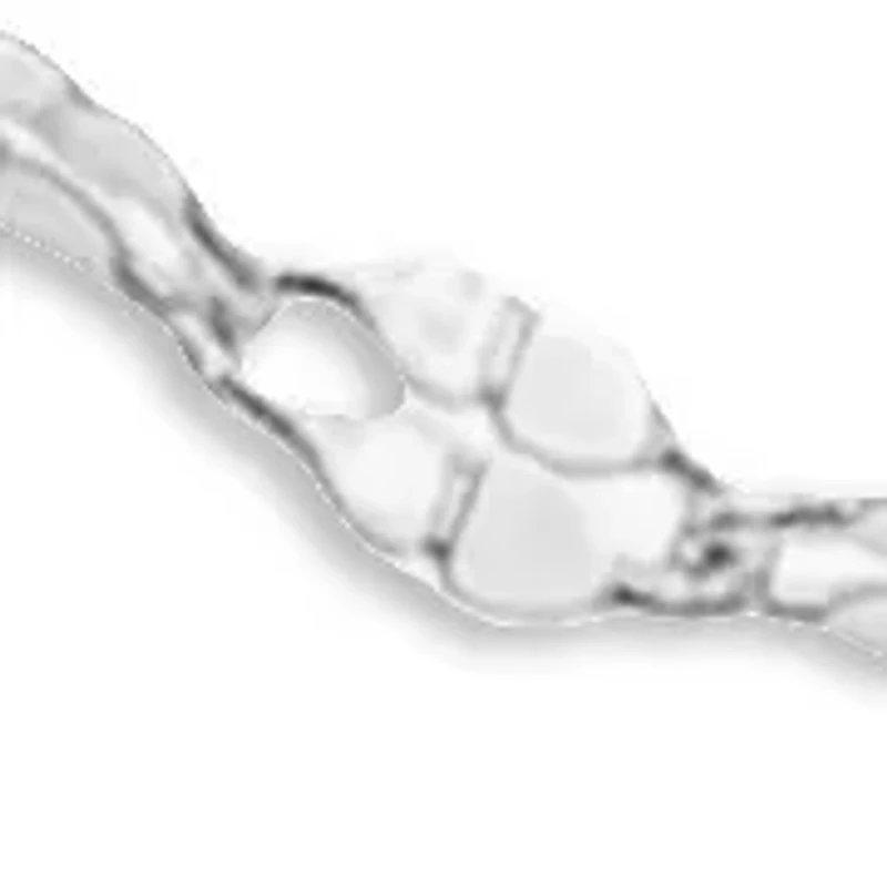 Daisy Chain Necklace in Sterling Silver