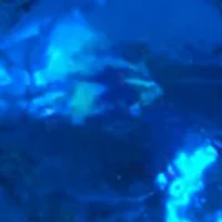 Square Crystal Stud Earrings