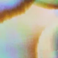 Statement Stud Earrings