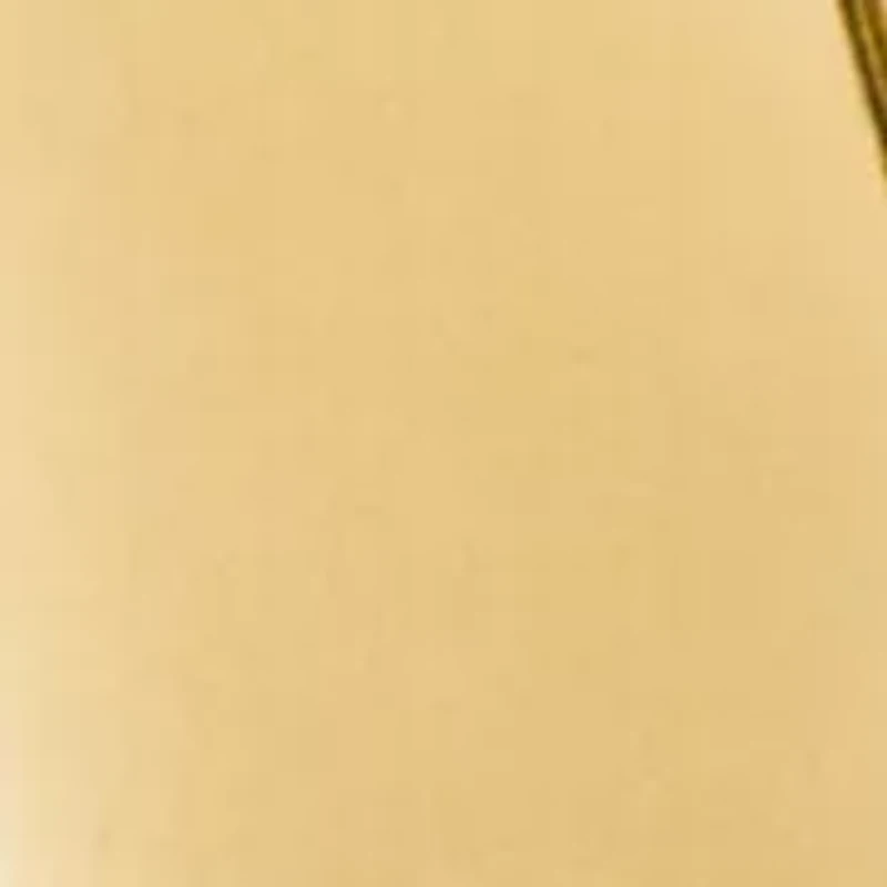 Gold Tone Huggie Clip Earrings