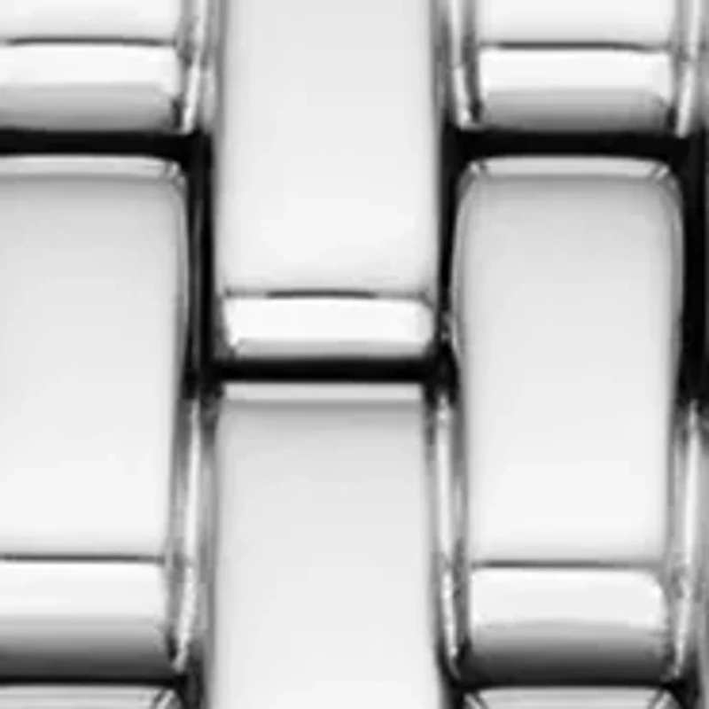 Silver Tone Emery Watch