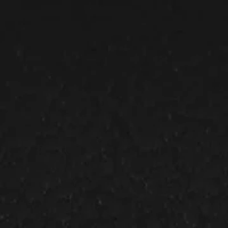 Ladies Black Gold Tone Analog Watch