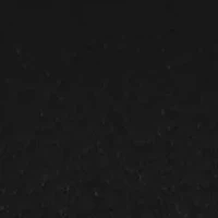 Ladies Black Gold Tone Analog Watch