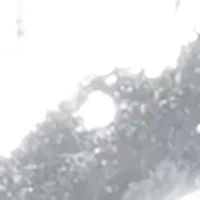 Sterling Silver Spiral Flower Ring