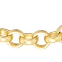 Gold Over Sterling Silver Rolo Chain Necklace