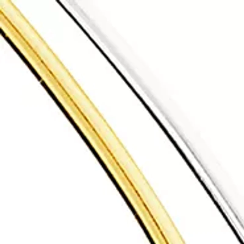 Two Tone Plated Double Teardrop Earrings