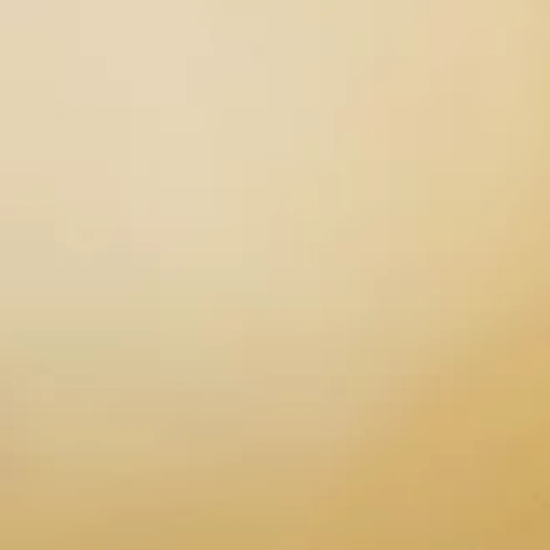 Fine Silver Plated 12 Millimeter High Polished Ball Stud Earrings